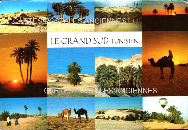 Tunisia Scenes et types tradition