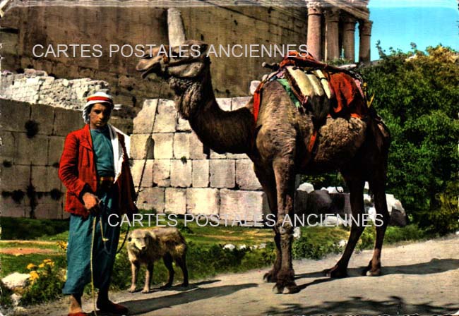 Cartes postales anciennes > CARTES POSTALES > carte postale ancienne > cartes-postales-ancienne.com Liban Baalbek