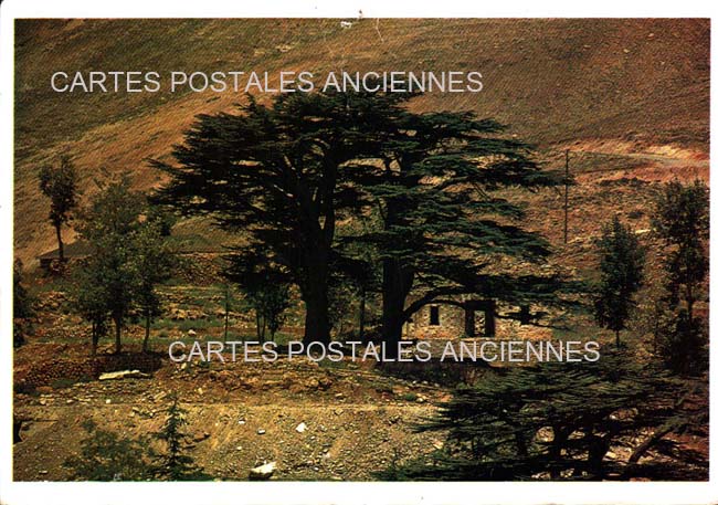 Cartes postales anciennes > CARTES POSTALES > carte postale ancienne > cartes-postales-ancienne.com Liban