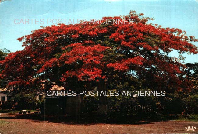 Cartes postales anciennes > CARTES POSTALES > carte postale ancienne > cartes-postales-ancienne.com Republique du senegal Saint louis