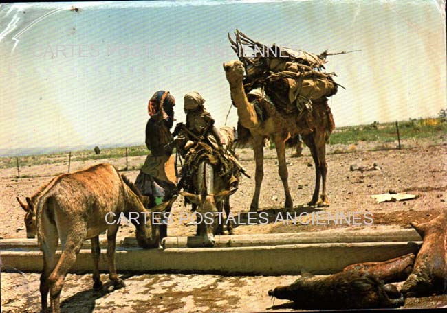 Cartes postales anciennes > CARTES POSTALES > carte postale ancienne > cartes-postales-ancienne.com Republique de djibouti Djibouti
