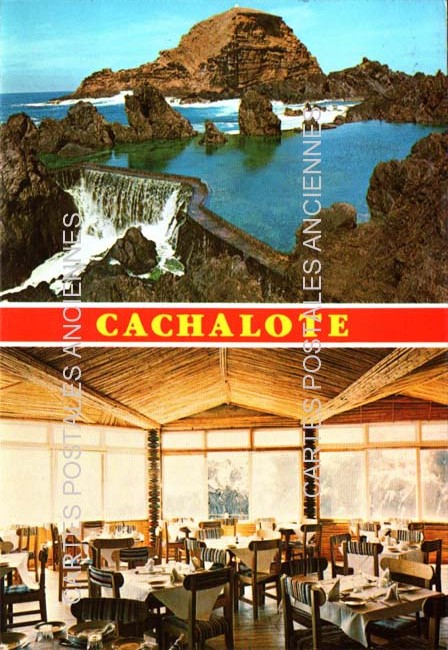 Cartes postales anciennes > CARTES POSTALES > carte postale ancienne > cartes-postales-ancienne.com Union europeenne Portugal