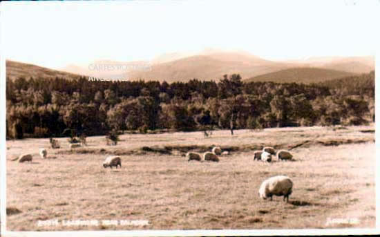 Cartes postales anciennes > CARTES POSTALES > carte postale ancienne > cartes-postales-ancienne.com Ecosse Oban