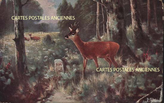 Cartes postales anciennes > CARTES POSTALES > carte postale ancienne > cartes-postales-ancienne.com Union europeenne Allemagne