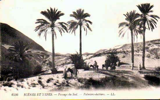 Cartes postales anciennes > CARTES POSTALES > carte postale ancienne > cartes-postales-ancienne.com Algerie Oran