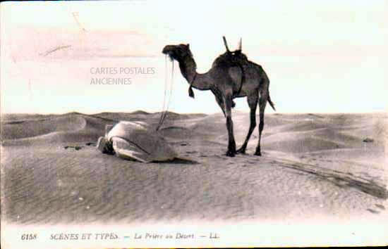 Cartes postales anciennes > CARTES POSTALES > carte postale ancienne > cartes-postales-ancienne.com Algerie Oran