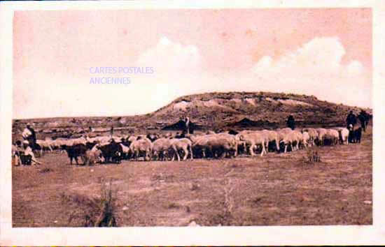 Cartes postales anciennes > CARTES POSTALES > carte postale ancienne > cartes-postales-ancienne.com Monde pays   Tunisie