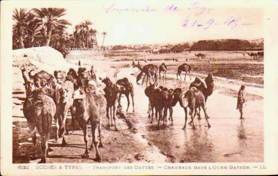 Cartes postales anciennes > CARTES POSTALES > carte postale ancienne > cartes-postales-ancienne.com Monde pays   Tunisie