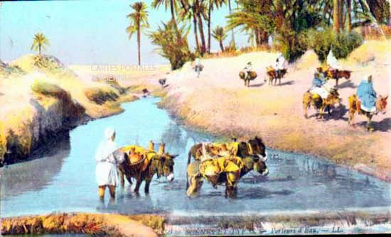 Cartes postales anciennes > CARTES POSTALES > carte postale ancienne > cartes-postales-ancienne.com Algerie Oran