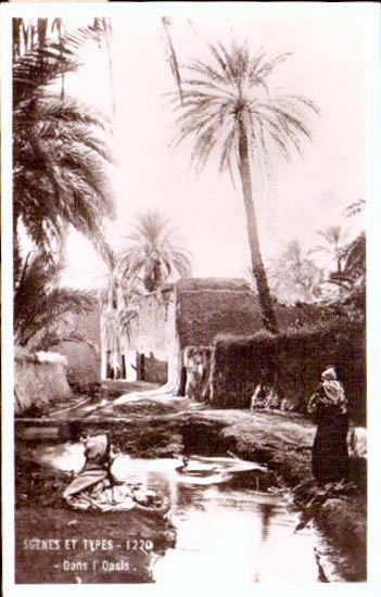 Cartes postales anciennes > CARTES POSTALES > carte postale ancienne > cartes-postales-ancienne.com Algerie Alger