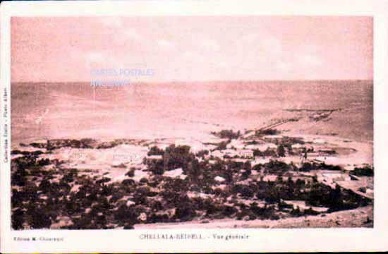 Algeria Chellala reibell
