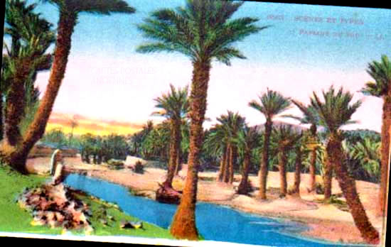Cartes postales anciennes > CARTES POSTALES > carte postale ancienne > cartes-postales-ancienne.com Algerie Oran