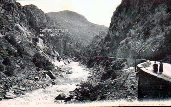 Cartes postales anciennes > CARTES POSTALES > carte postale ancienne > cartes-postales-ancienne.com Algerie Alger