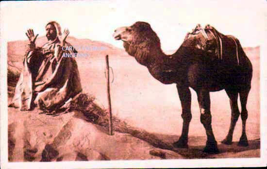 Cartes postales anciennes > CARTES POSTALES > carte postale ancienne > cartes-postales-ancienne.com Algerie
