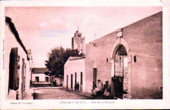 Algeria Chellala reibell
