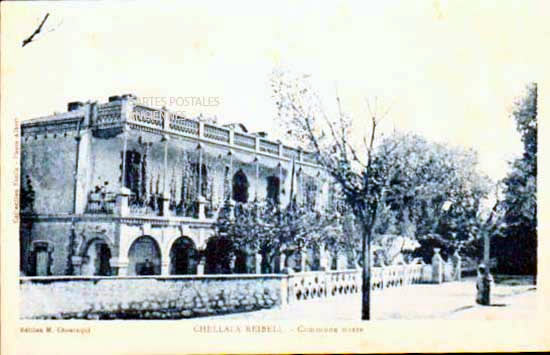 Algeria Chellala reibell
