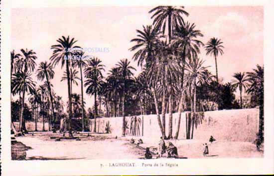 Algeria Laghouat