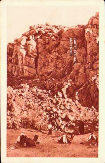 Cartes postales anciennes > CARTES POSTALES > carte postale ancienne > cartes-postales-ancienne.com Algerie Alger