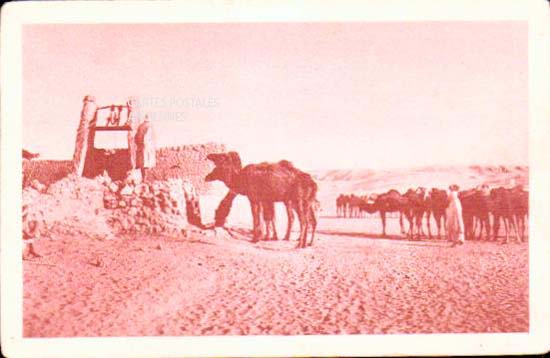 Cartes postales anciennes > CARTES POSTALES > carte postale ancienne > cartes-postales-ancienne.com Algerie Guerrara