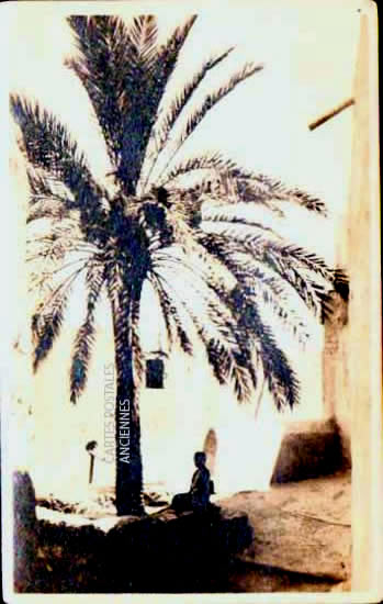 Algeria Biskra