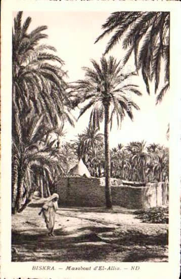 Algeria Biskra