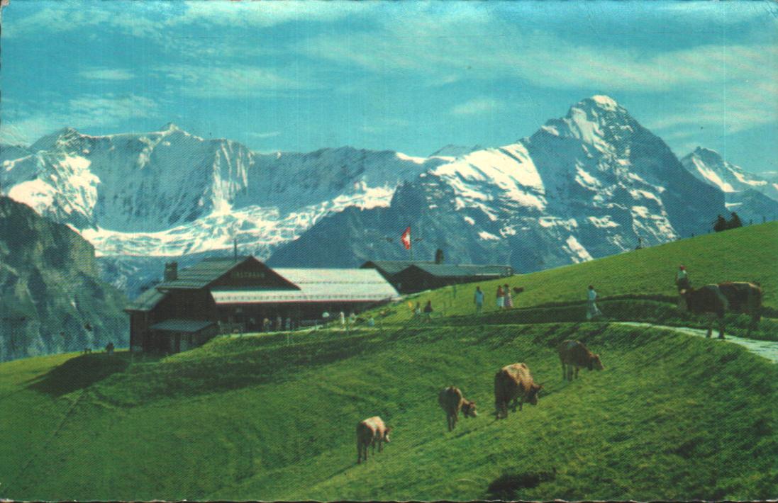 Cartes postales anciennes > CARTES POSTALES > carte postale ancienne > cartes-postales-ancienne.com Suisse