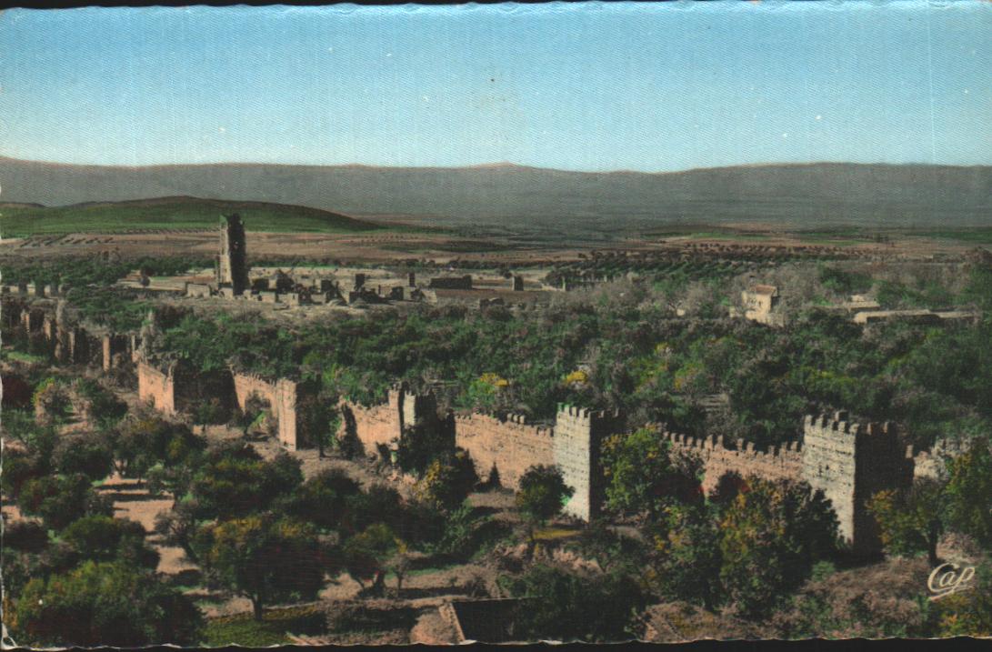 Cartes postales anciennes > CARTES POSTALES > carte postale ancienne > cartes-postales-ancienne.com Algerie Mansourah