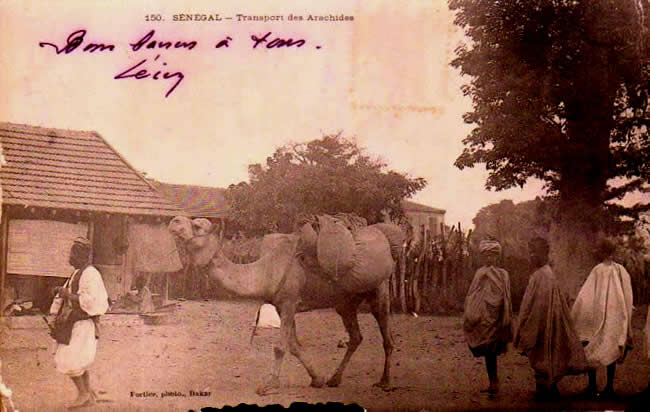 Cartes postales anciennes > CARTES POSTALES > carte postale ancienne > cartes-postales-ancienne.com Republique du senegal Dakar