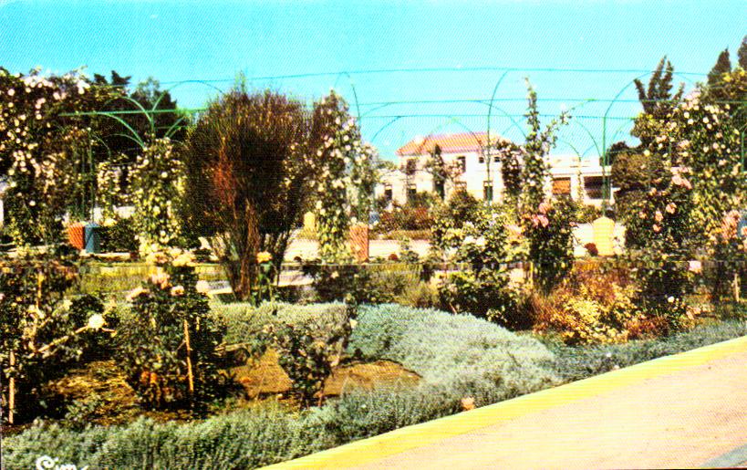 Cartes postales anciennes > CARTES POSTALES > carte postale ancienne > cartes-postales-ancienne.com Algerie Perregaux