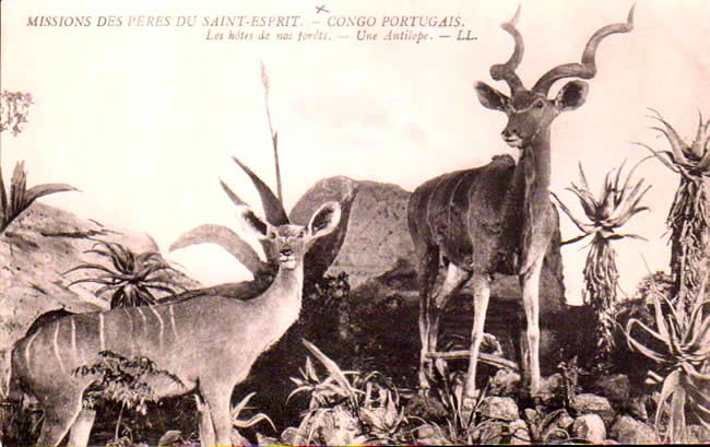 Republic of congo