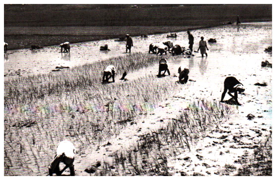 Cartes postales anciennes > CARTES POSTALES > carte postale ancienne > cartes-postales-ancienne.com