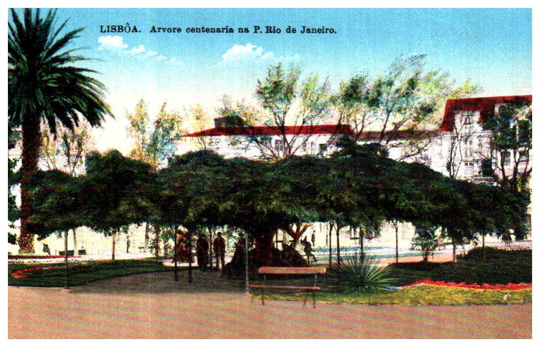 Cartes postales anciennes > CARTES POSTALES > carte postale ancienne > cartes-postales-ancienne.com Union europeenne Portugal