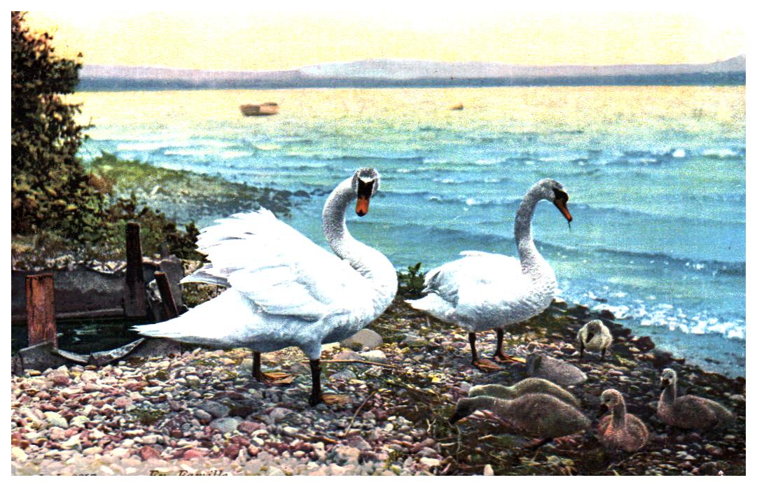 Cartes postales anciennes > CARTES POSTALES > carte postale ancienne > cartes-postales-ancienne.com Suisse