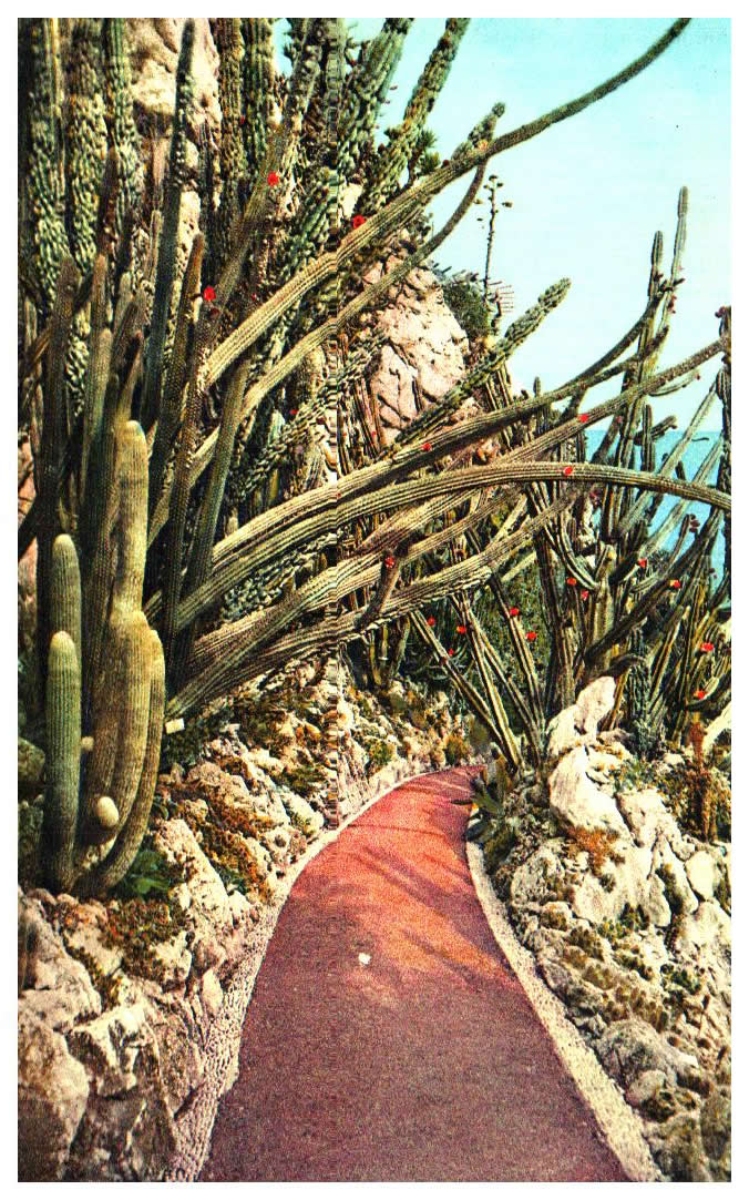 Cartes postales anciennes > CARTES POSTALES > carte postale ancienne > cartes-postales-ancienne.com Monaco