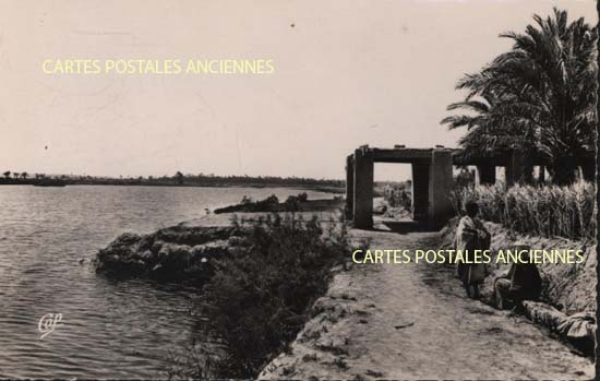 Cartes postales anciennes > CARTES POSTALES > carte postale ancienne > cartes-postales-ancienne.com Algerie Temacine