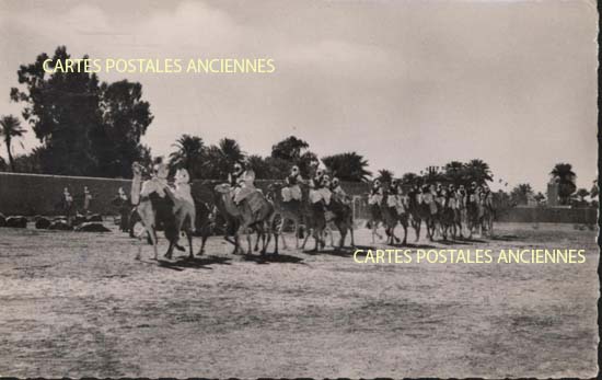 Algeria El golea