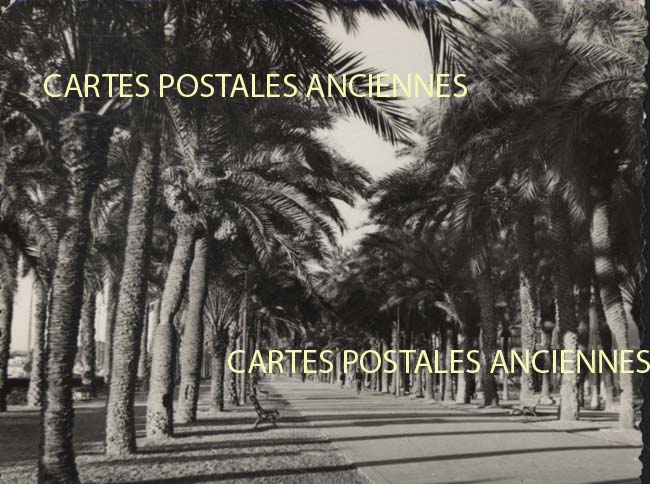 Cartes postales anciennes > CARTES POSTALES > carte postale ancienne > cartes-postales-ancienne.com Union europeenne Espagne Alicante