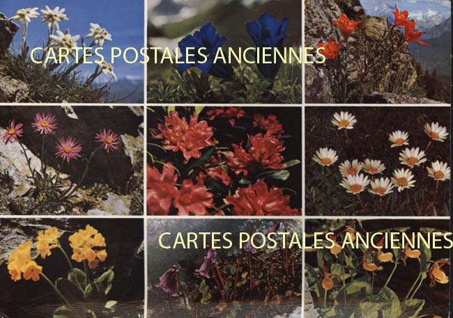 Cartes postales anciennes > CARTES POSTALES > carte postale ancienne > cartes-postales-ancienne.com Suisse