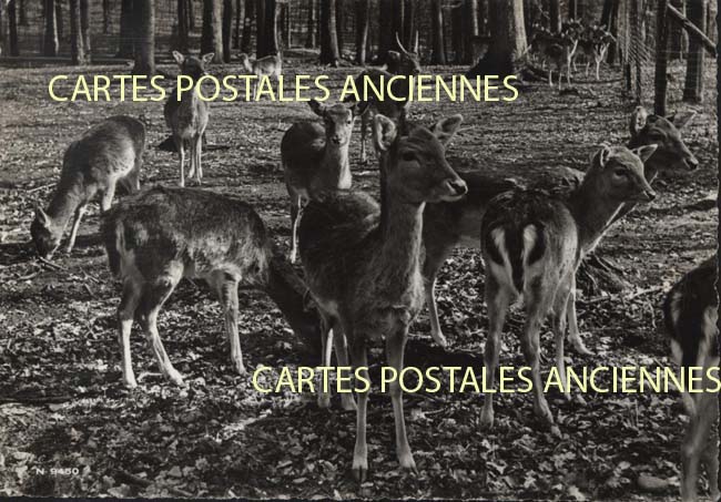 Cartes postales anciennes > CARTES POSTALES > carte postale ancienne > cartes-postales-ancienne.com Suisse