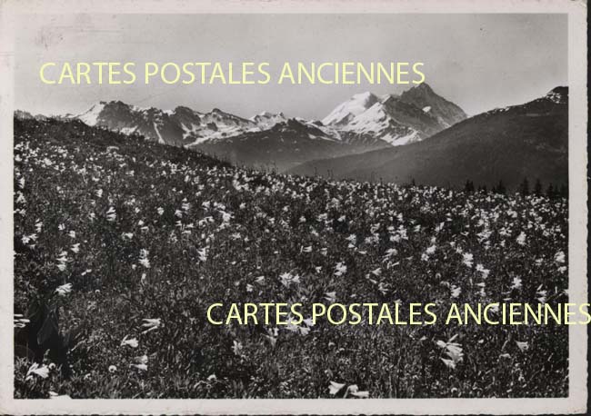 Cartes postales anciennes > CARTES POSTALES > carte postale ancienne > cartes-postales-ancienne.com Suisse
