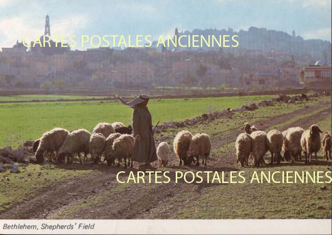 Cartes postales anciennes > CARTES POSTALES > carte postale ancienne > cartes-postales-ancienne.com Palestine Bethleem