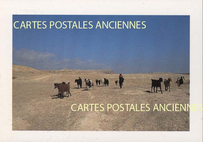 Cartes postales anciennes > CARTES POSTALES > carte postale ancienne > cartes-postales-ancienne.com Palestine