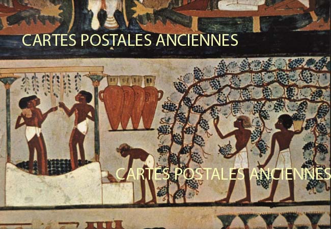 Cartes postales anciennes > CARTES POSTALES > carte postale ancienne > cartes-postales-ancienne.com Egypte