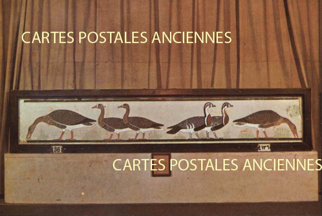 Cartes postales anciennes > CARTES POSTALES > carte postale ancienne > cartes-postales-ancienne.com Egypte