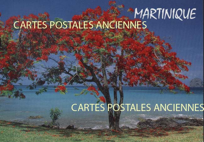 Cartes postales anciennes > CARTES POSTALES > carte postale ancienne > cartes-postales-ancienne.com Antilles francaises Martinique.