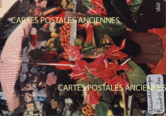 Cartes postales anciennes > CARTES POSTALES > carte postale ancienne > cartes-postales-ancienne.com Antilles francaises Guadeloupe.