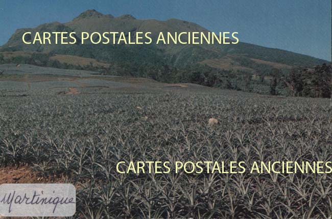 Cartes postales anciennes > CARTES POSTALES > carte postale ancienne > cartes-postales-ancienne.com Antilles francaises