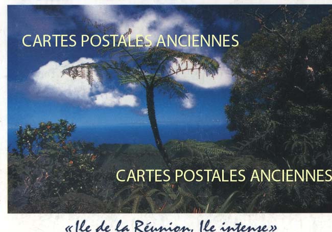 Cartes postales anciennes > CARTES POSTALES > carte postale ancienne > cartes-postales-ancienne.com Ile de la reunion
