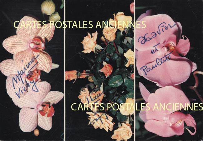 Cartes postales anciennes > CARTES POSTALES > carte postale ancienne > cartes-postales-ancienne.com Divers monde