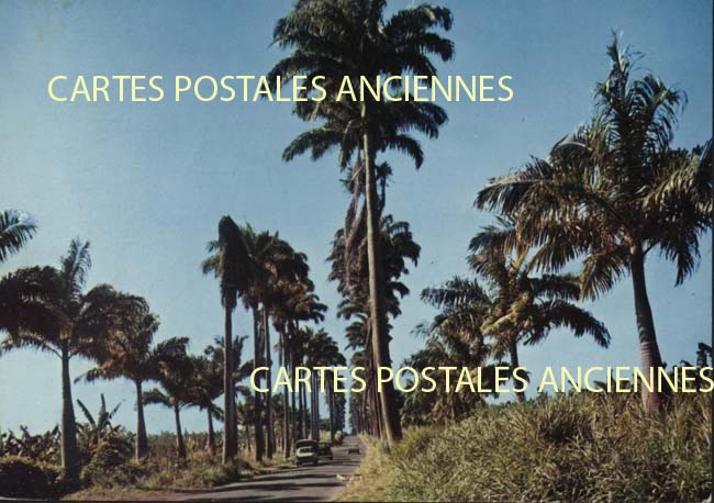 Cartes postales anciennes > CARTES POSTALES > carte postale ancienne > cartes-postales-ancienne.com Antilles francaises Guadeloupe.